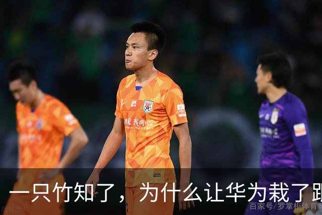 一只竹知了，为什么让华为栽了跟头？