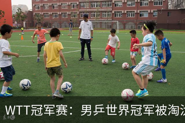 WTT冠军赛：男乒世界冠军被淘汰！雨果3-0大获全胜、晋级单打8强